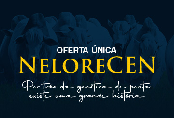BATE PAPO E LEILÃO OFERTA ÚNICA NELORE CEN
